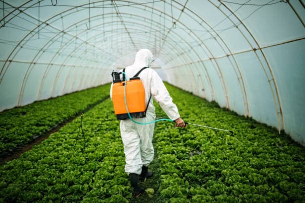 Efficient Commercial Pest Control: Keep Your Business Clean and Pest-Free