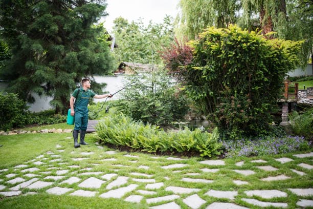 Commercial Pest Control: Safeguarding Your Business from Unwanted Intruders