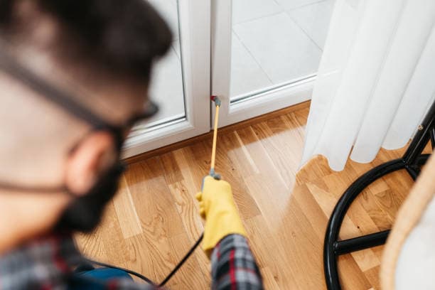 Residential Pest Control Services: Your First Line of Defense Against Household Pests
